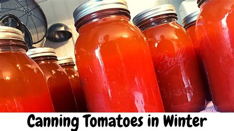 Tips for safely canning excess garden tomatoes for winter meals?