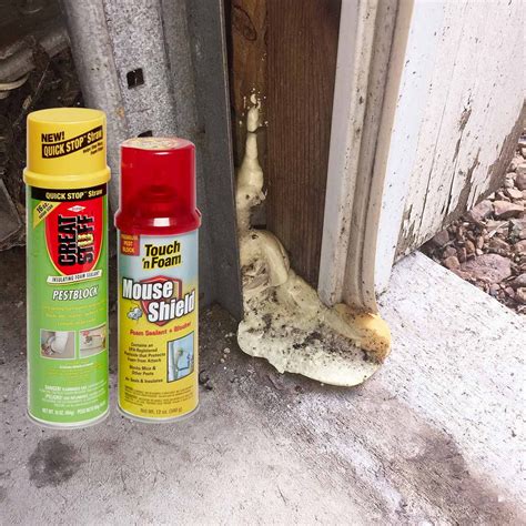 Never Say Goodbye: Diy Pest Control Spray