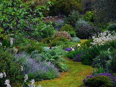 Garden design details: Transform an OK garden into a stunning one ...