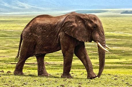 语法课堂—big 和 large 的用法和区别