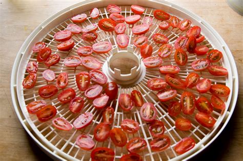 Dehydrating Way Beyond Jerky: Dehydrated Cherry Tomatoes – Super Easy