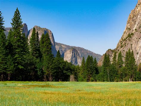 Natural Forms :: Behance