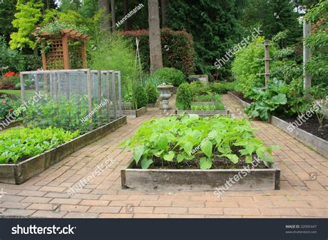 Beautiful Backyard Organic Vegetable Garden Stock Photo (Edit Now) 32095447