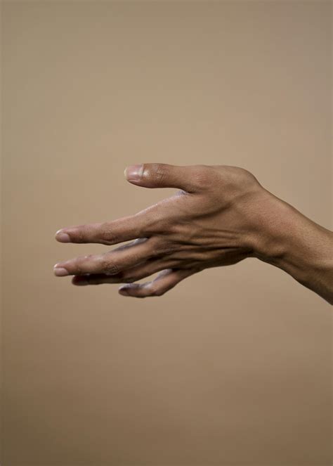 Human Hands Illustrations · Free Stock Photo