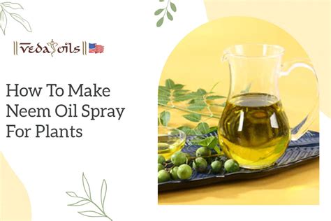 How to Make Neem Oil Spray for Plants at Home – VedaOils USA