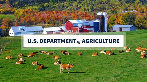 USDA Unveils Strategic Approach and New Investments for Addressing ...