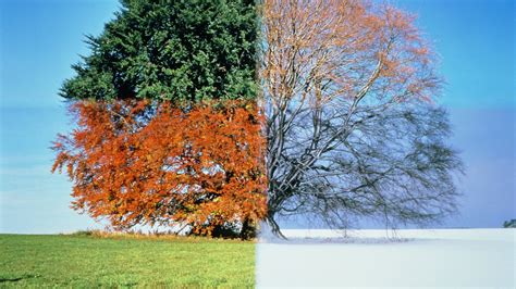 6 Marketing Tips for Seasonal Businesses (Before, During, and After ...