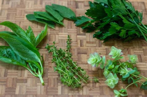 Chicken with Herbs and Vermouth – Kevin Lee Jacobs