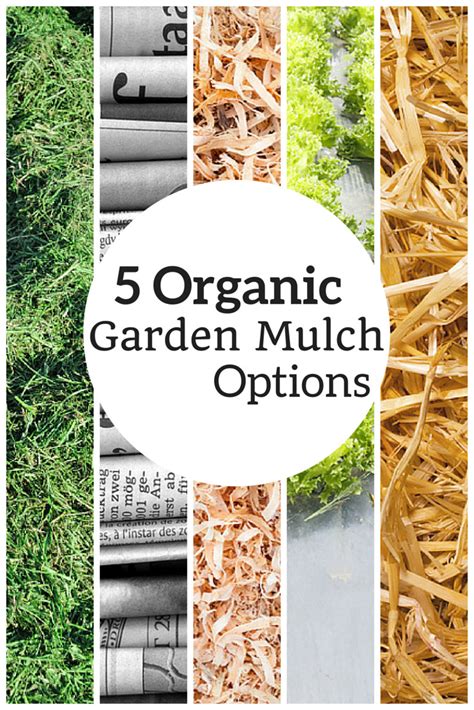 5 Organic Garden Mulch Options - THE LIVING FARM