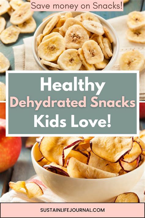Delicious & Nutritious: Kid Approved Dehydrated Fruit Snacks and ...