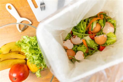 520+ Compostable Kitchen Waste Stock Photos, Pictures &amp; Royalty-Free ...