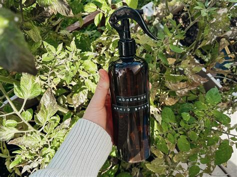 Simple Homemade Aphid Spray (Easy + All Natural) - The Coconut Mama