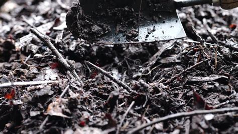 Turning a Soil Food Web Compost Pile in Australia Stock Video - Video ...