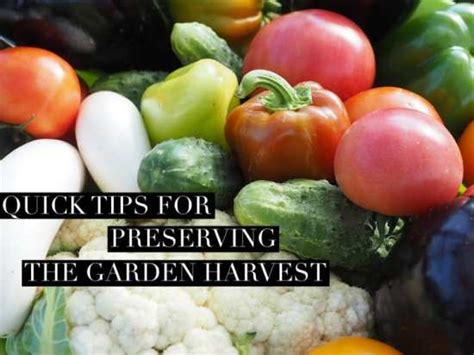 How to use preserved garden harvest in real food holiday dishes?