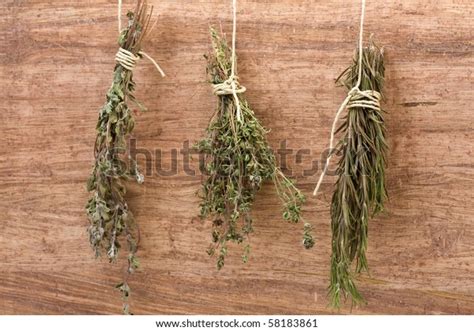 Fresh Dried Herb Bundles Different Herbs Stock Photo (Edit Now) 58183861