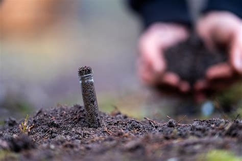 Premium Photo | Turning a compost pile in a community garden compost ...