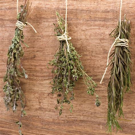 How to Dry Herbs – Urban Leaf