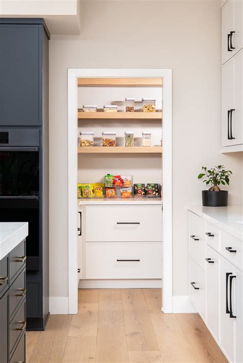 Floating Kitchen Pantry Design Ideas 49 Kitchen Storage Ideas To