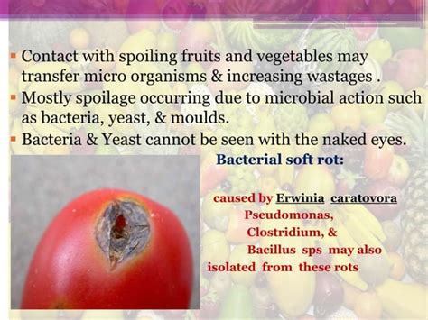 Contamination, Spoilage and preservation of Fruits and Vegetables ...