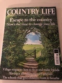 What daily country living BTS shots build connection & show real homestead grit?