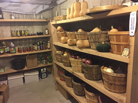 5 Mistakes to Avoid When Creating a Root Cellar