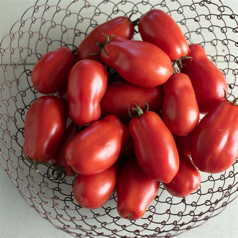 San Marzano II - Heirloom & Organic Paste Tomato Seed | Johnny's ...