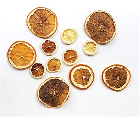 Homemade Dried Citrus Slices - The Boozy Epicure