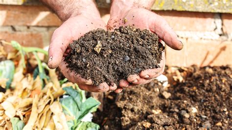 How To Know When Compost Is Ready: Key Signs It&#039;s Finished | Gardening ...