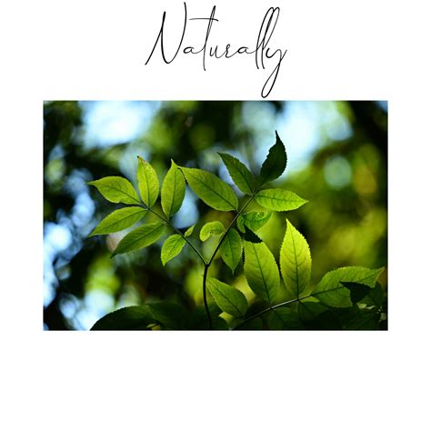 How to naturally amend garden soil for optimal real food yields?