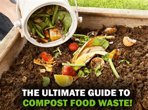 Facts About Composting Food at Lori Birdwell blog