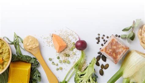 Lune + Wild, delivering Seasonal Baby + Children's Meals