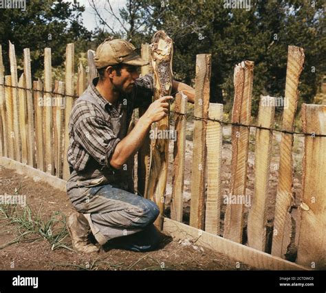 Farmer repairing fence which he built with slabs in a small town in New ...