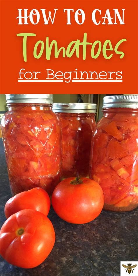 How to Can Tomatoes: A Beginner's Guide
