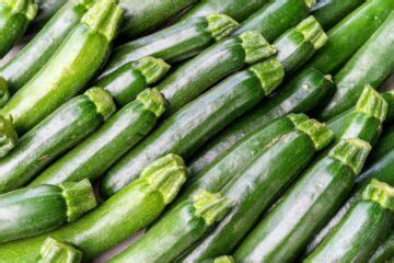 18 Types of Zucchini You Probably Don’t Know About (With Pictures)