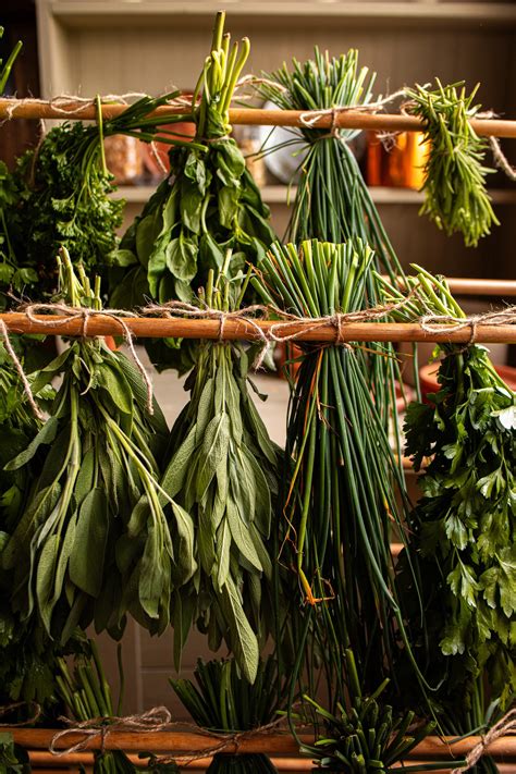 Preserving Freshness: How to Hang Dry Herbs | Step-by-Step Guide ...
