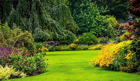 Garden Background Images Hd