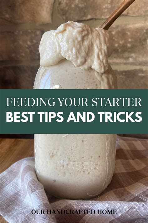 Feeding Sourdough: Best Tips for a Thriving Sourdough Starter - Our ...
