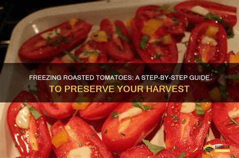 Freezing Roasted Tomatoes: A Step-By-Step Guide To Preserve Your ...