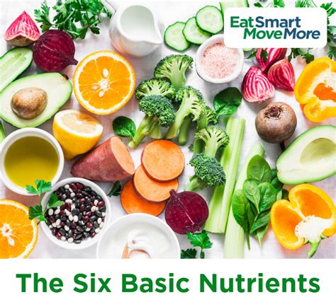 What Dietary Nutrients Are Most Effective At at Adelina Garcia blog