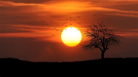 Sun is our protector! NASA explains exactly how it acts as a shield ...