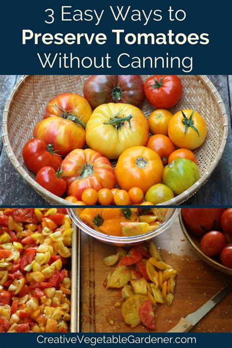 Easiest way to preserve garden tomatoes naturally, no fancy tools?