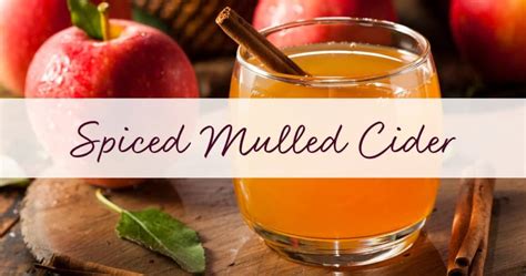 Spiced Mulled Cider Recipe - Kami McBride
