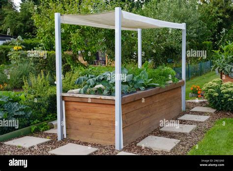 Raised bed with vegetables Stock Photo - Alamy