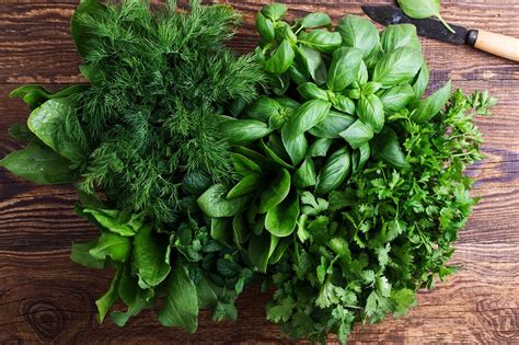 When to plant herbs: for a plentiful, fresh supply | Homes and Gardens