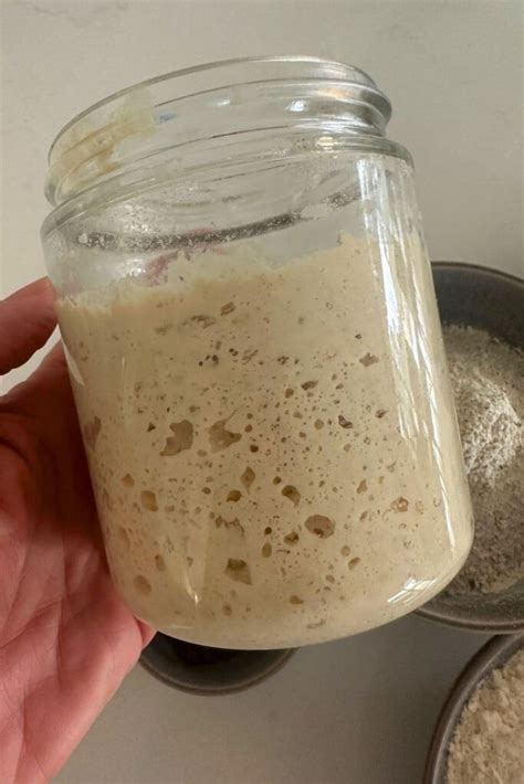 How To Get Bigger Bubbles In Your Sourdough Starter - The Pantry Mama