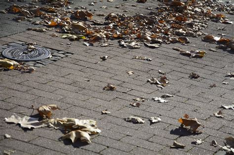 Leaves Pile Of Fall Autumn - Free photo on Pixabay - Pixabay