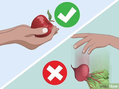 3 Ways to Store Produce in a Root Cellar - wikiHow Life