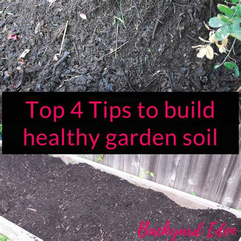 Top 4 Tips to Build Healthy Garden Soil - Backyard Eden