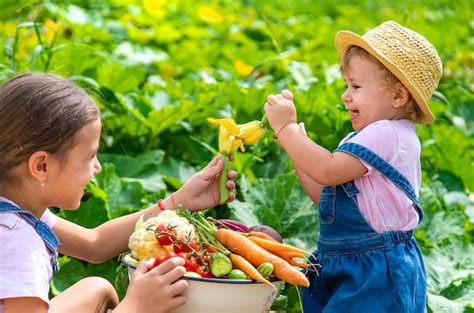 Premium Photo | A child with a harvest of vegetables in the garden ...
