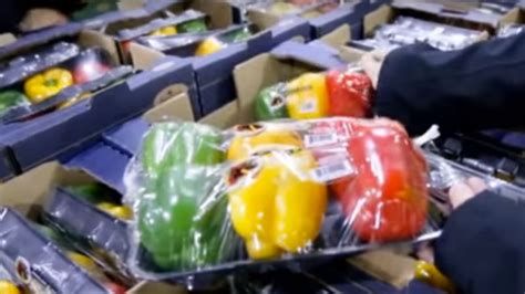 Best Practices for Grading and Packing of Fresh Produce (2015) – Center ...